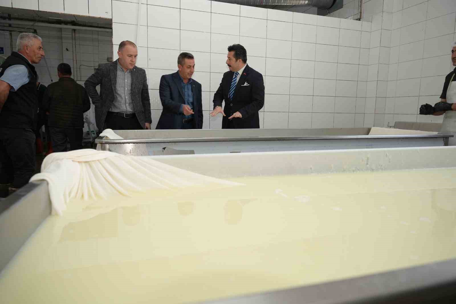 her gun 35 ton sutten 12 cesit peynir uretiyorlar 4 rJZwK2Ev