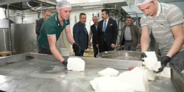 her-gun-35-ton-sutten-12-cesit-peynir-uretiyorlar-8EcKQRhg.jpg