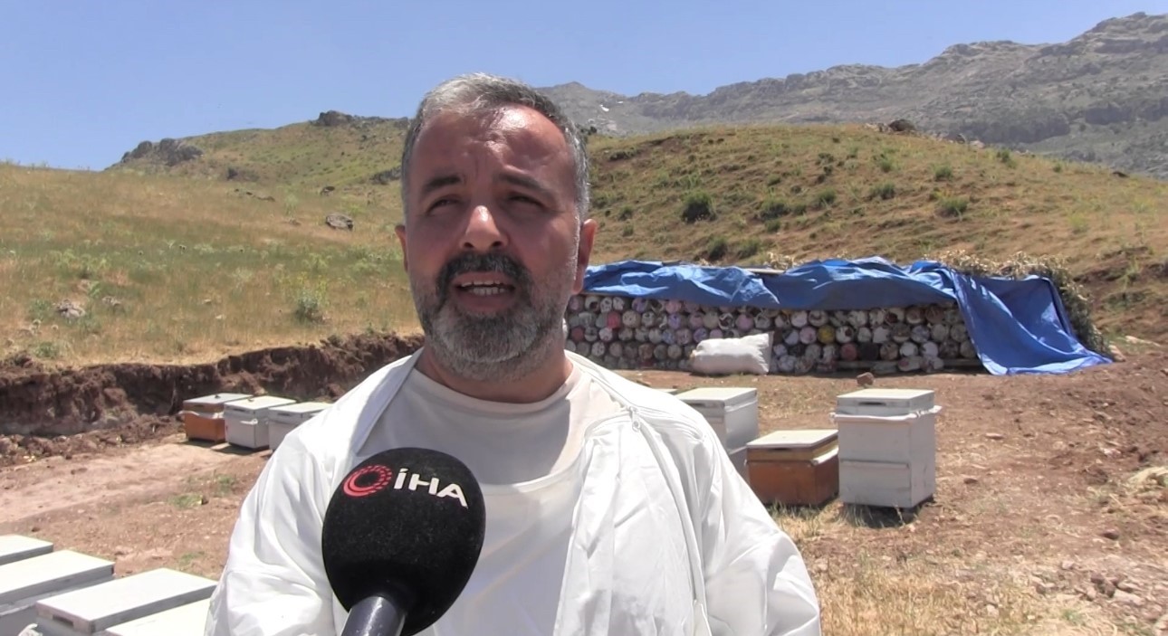 herekol daginda arilarin bal mesaisi pervari bali icin uretim sezonu basladi 3 cflltmam