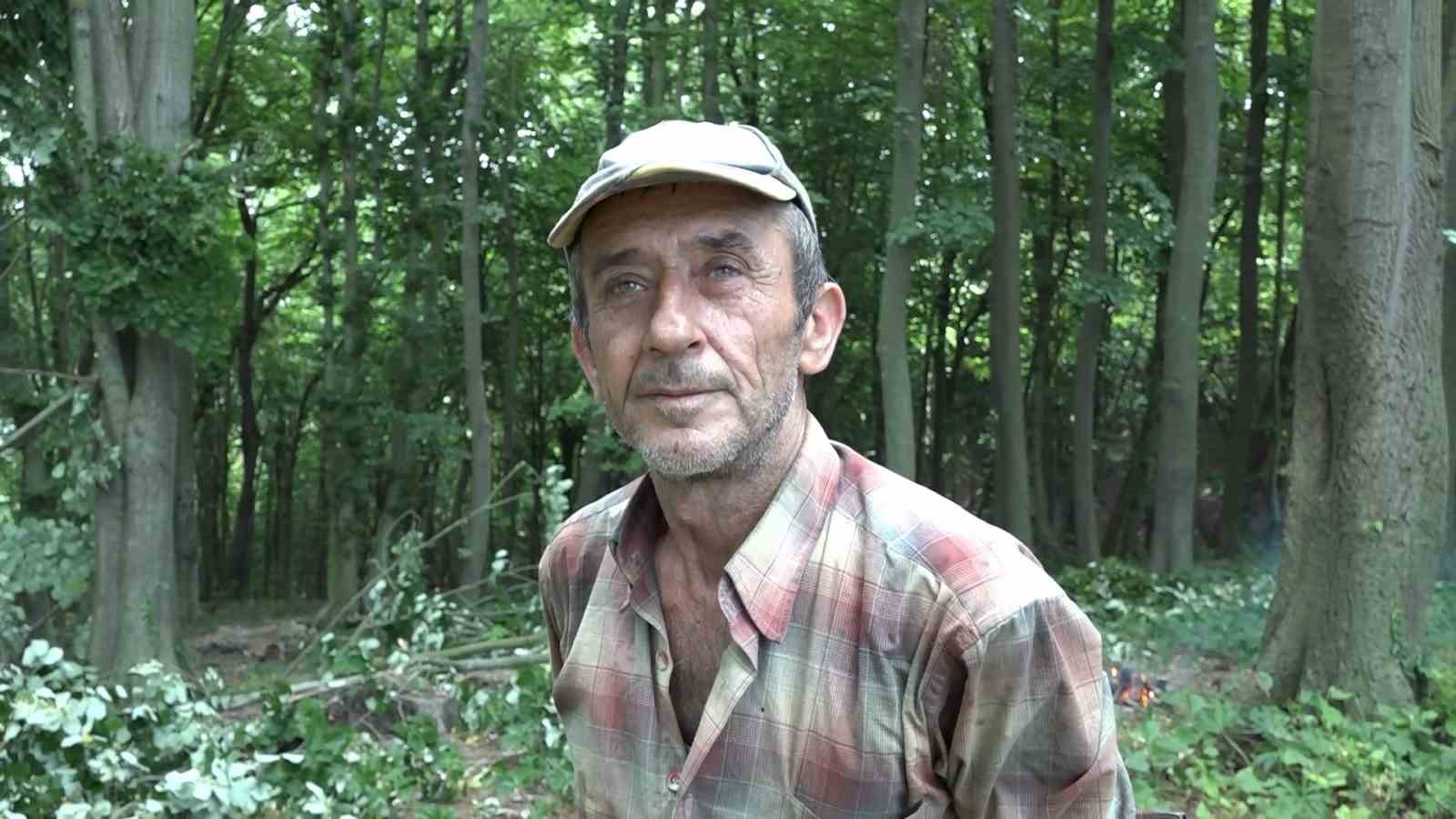 herkes onu kayip diye ariyorduihlamur toplamak icin ciktigi agactan dustugu ortaya cikti 0 BUg1Ieu8