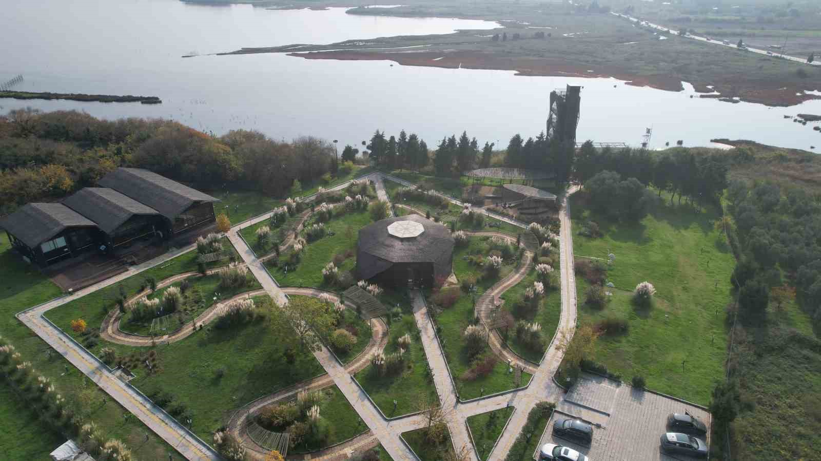 hersek lagununde flamingo populasyonu artiyor 1 14QGjG1P