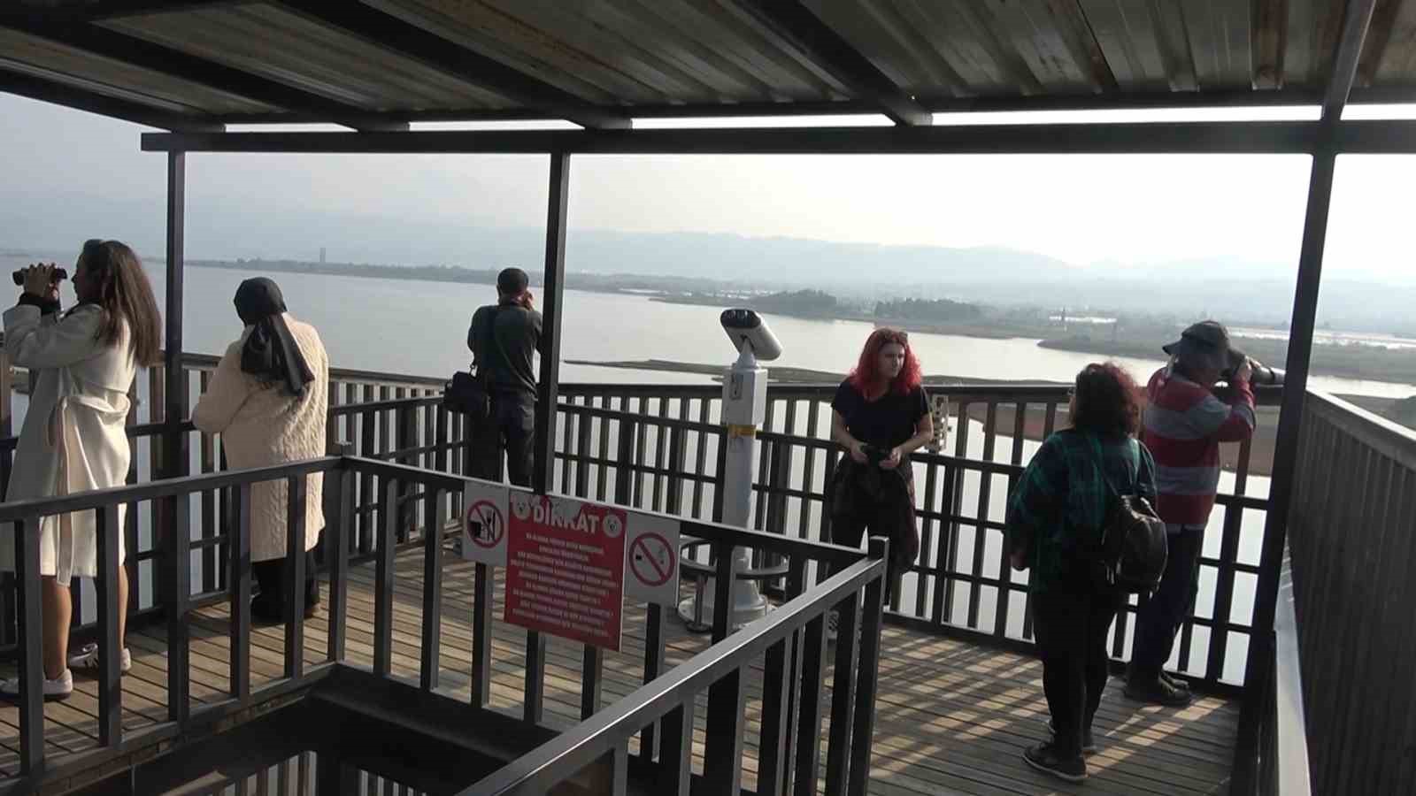 hersek lagununde flamingo populasyonu artiyor 11 84vMtRR2
