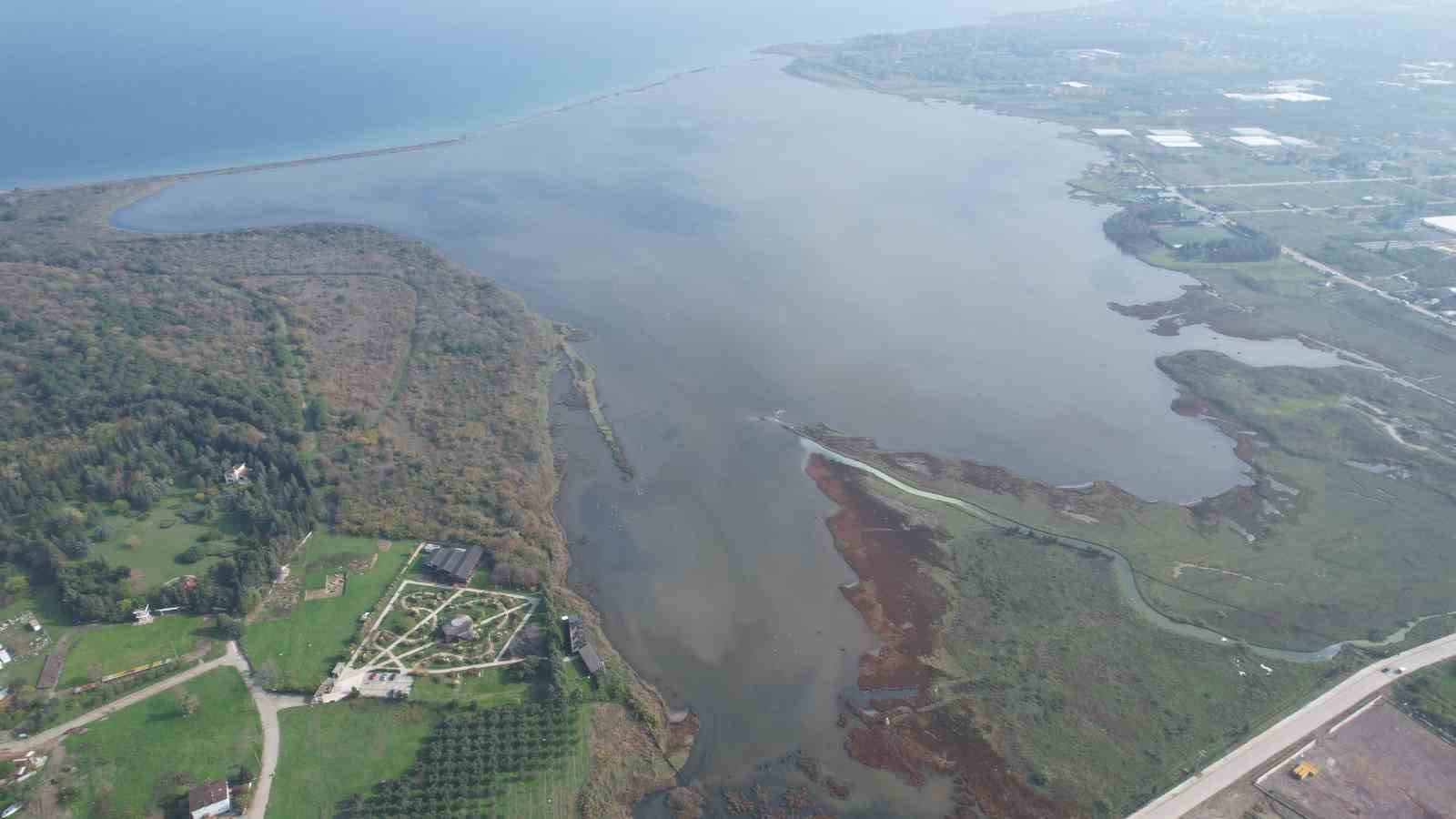 hersek lagununde flamingo populasyonu artiyor 2 y3Y33vH4