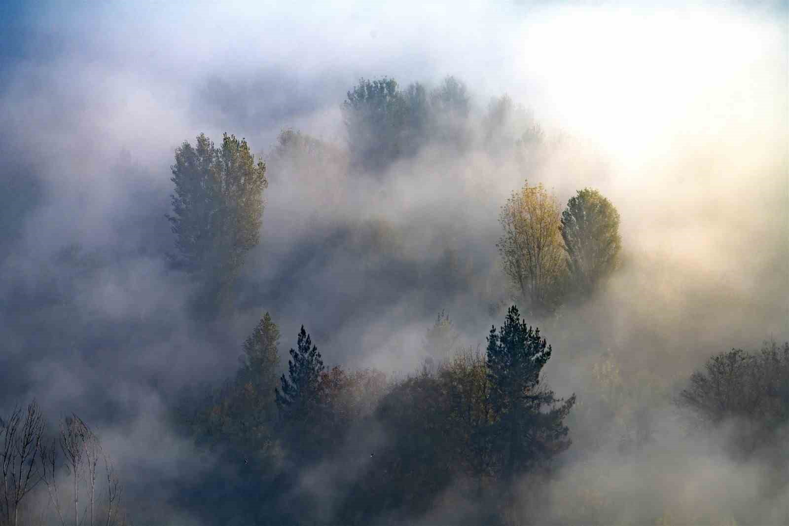 hevselin sonbahar perdesi sisli bahceler kartpostallik goruntuler olusturdu 3 AHIOvLfJ