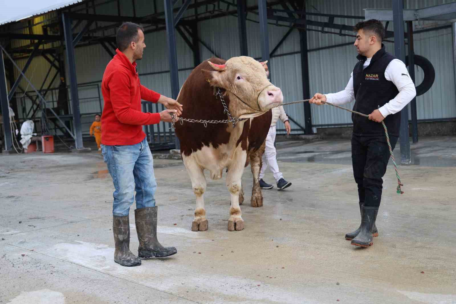 heybeti ile dikkat cekiyor yarim milyon tlye alicisini bekliyor 5