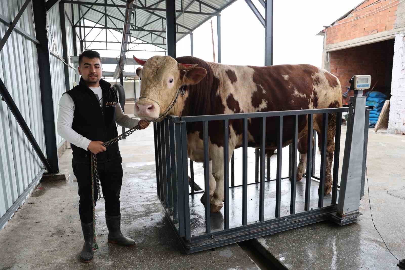 heybeti ile dikkat cekiyor yarim milyon tlye alicisini bekliyor 6 qEAQAB8z