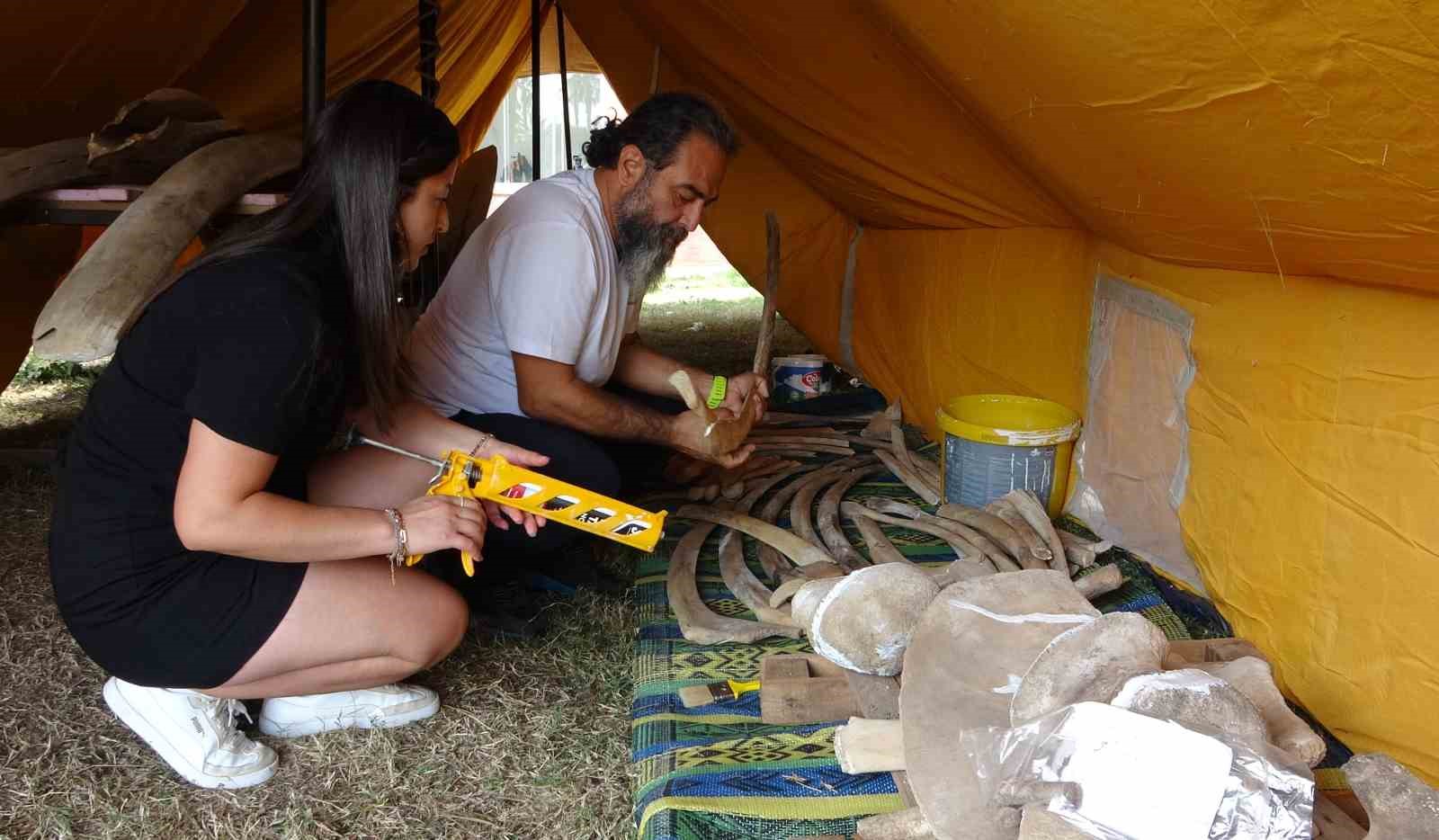 heyecanlandiran kesifte 16 metrelik balinanin kemikleri birlestirilmeye baslandi 1 HmfuS7kr