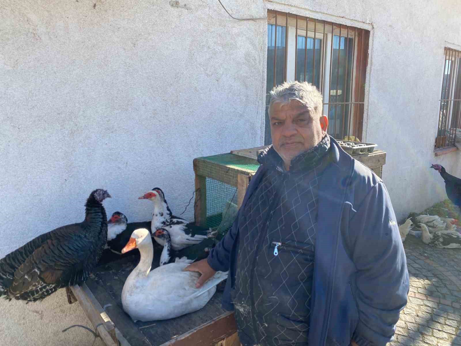 hindi var kaz var alici yok tezg hlarda durgunluk 0 XH2cIgmT