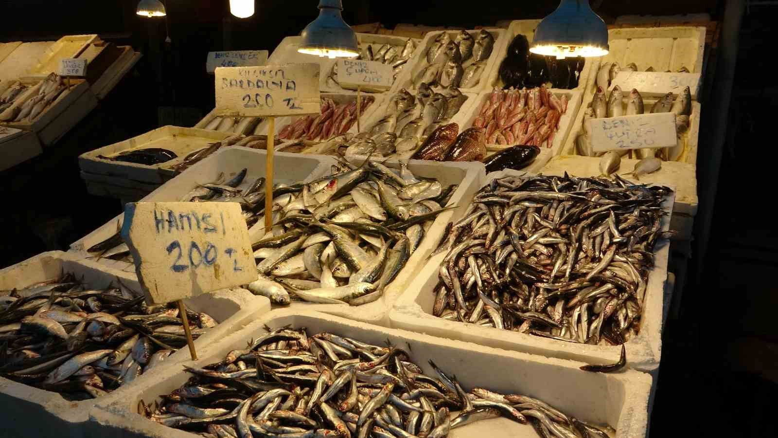 Hint Okyanusu’na özgü ‘portakal benekli lagos’ Mersin’de tezgaha çıktı 8 hint okyanusuna ozgu portakal benekli lagos mersinde tezgaha cikti 4 YwdT1GpA