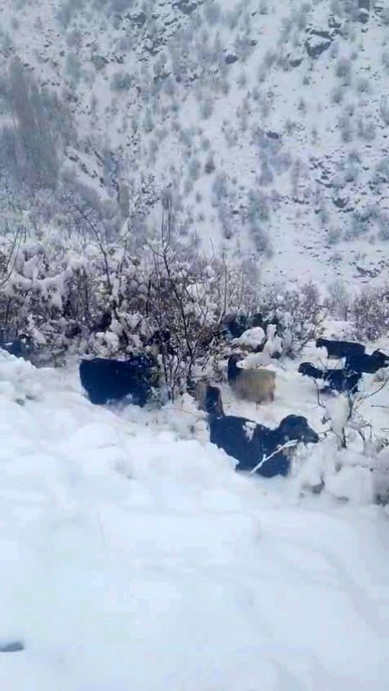 hizanda kar yagisi suruyu hazirliksiz yakaladi 0 3ADigqvk