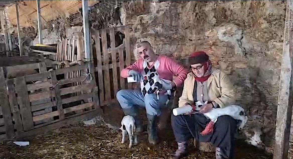 hobi olarak 4 koyunla baslayan kardesler 600 hayvan sayisina ulasti 1 N2V2eit9