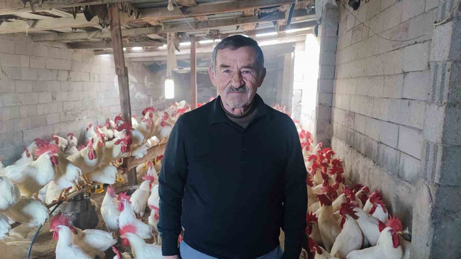 hobiydi is oldu 3 yilda 850 etlik horoz yetistirdi 1