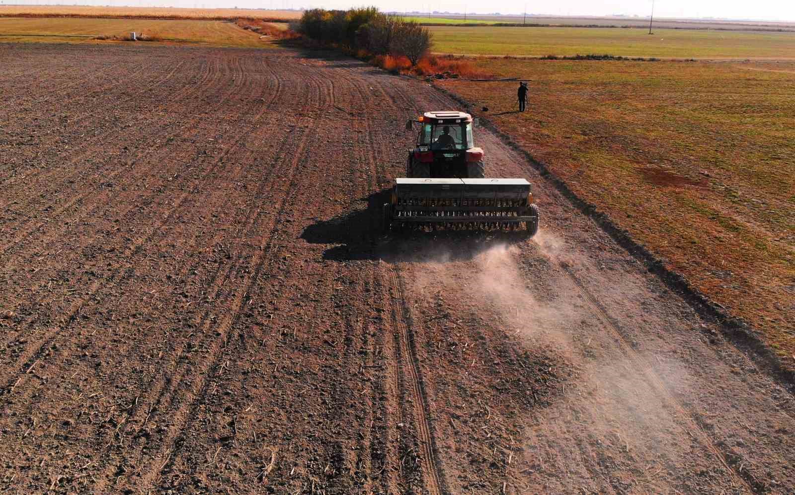 hububat ambari konya ovasinda yagislar yetersiz 1 Gp9flyty