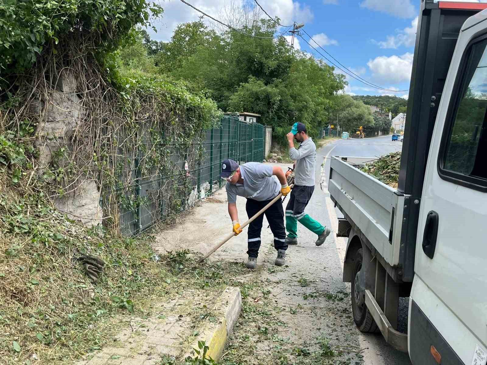 İBB’nin sorumluluğundaki yollarda otlar metrelerce uzadı, temizliği Beykoz Belediyesi yaptı 4 ibbnin sorumlulugundaki yollarda otlar metrelerce uzadi temizligi beykoz belediyesi yapti 0 Vw1ZMe53