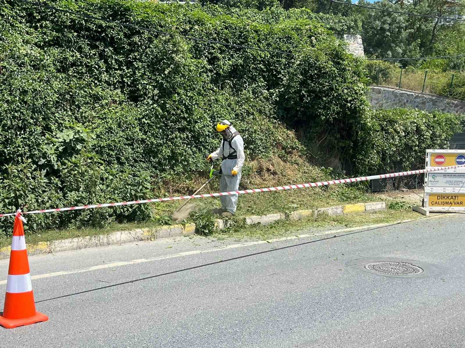 İBB’nin sorumluluğundaki yollarda otlar metrelerce uzadı, temizliği Beykoz Belediyesi yaptı 5 ibbnin sorumlulugundaki yollarda otlar metrelerce uzadi temizligi beykoz belediyesi yapti 1