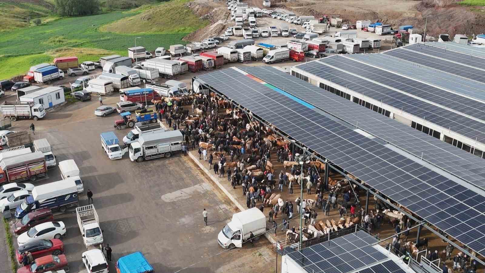 ic anadolunun en buyuk kurban pazarinda yogunluk 0 QPsKCriM