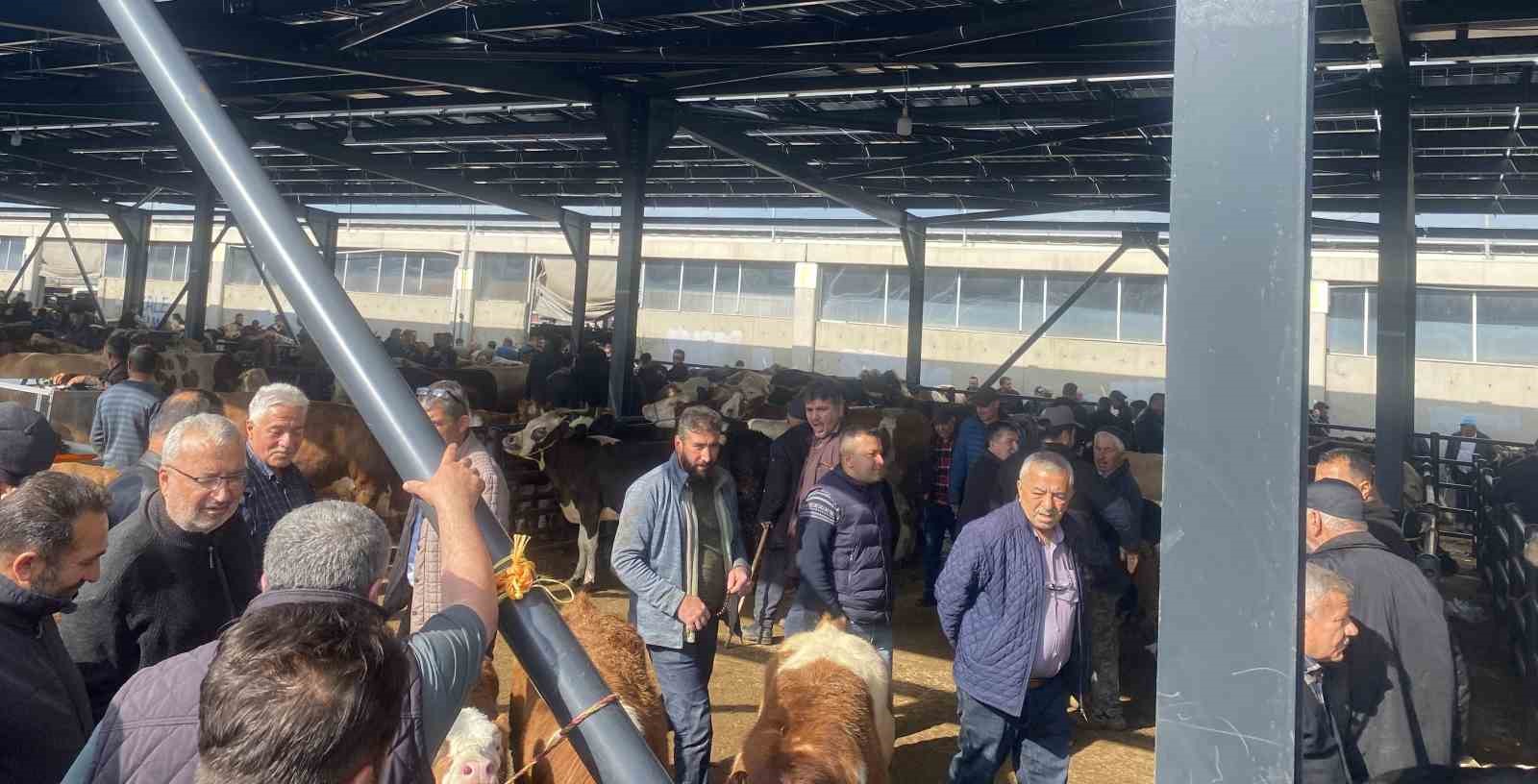 ic anadolunun en buyuk kurban pazarinda yogunluk 2 14dRCXjY