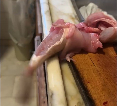 ici temizlenen balik dakikalarca cirpinmaya devam etti 1 mniGzT4t