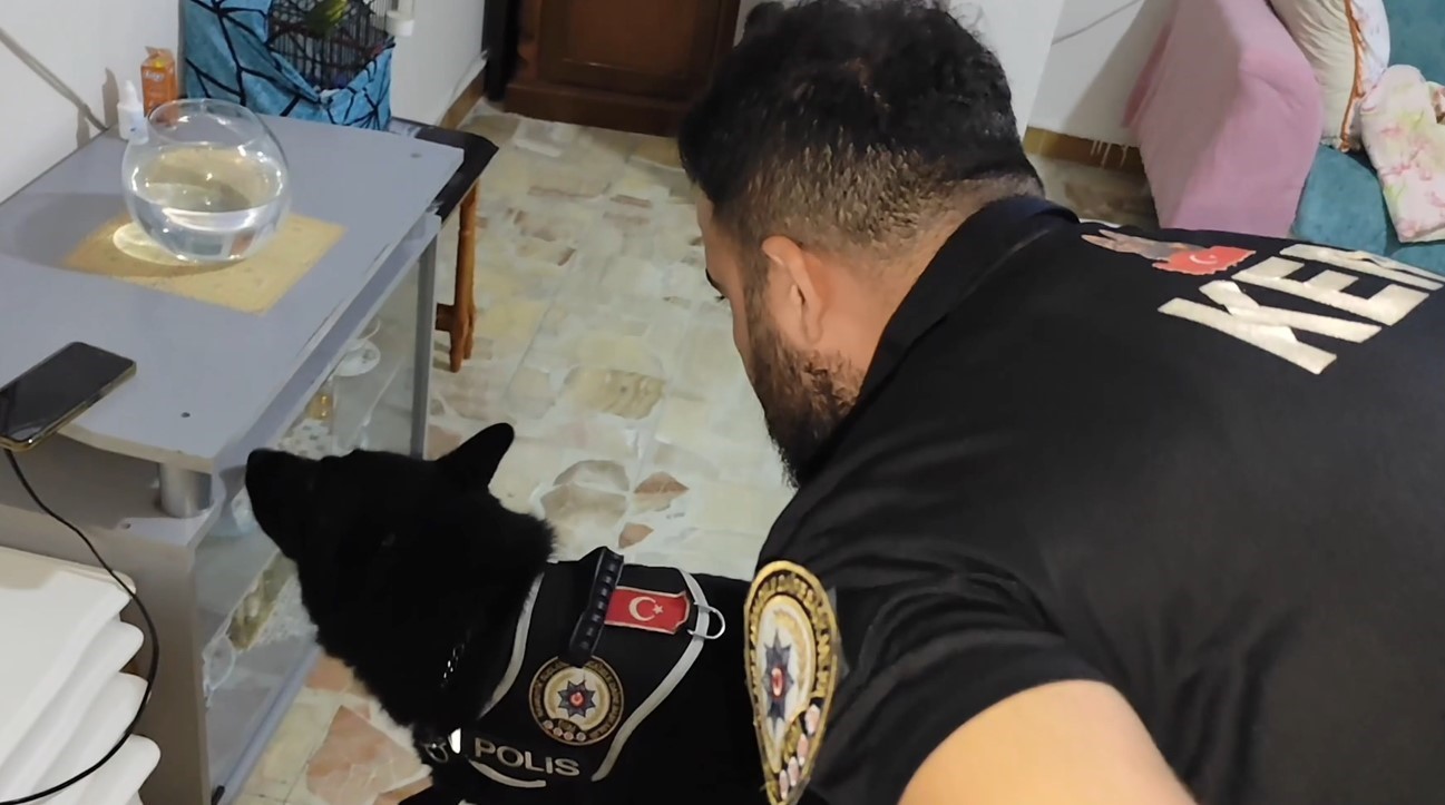 icisleri bakani yerlikaya narko kapan mersinle 3 organize suc orgutu cokerildi 370 sahis yakalandi HKXlpdI3