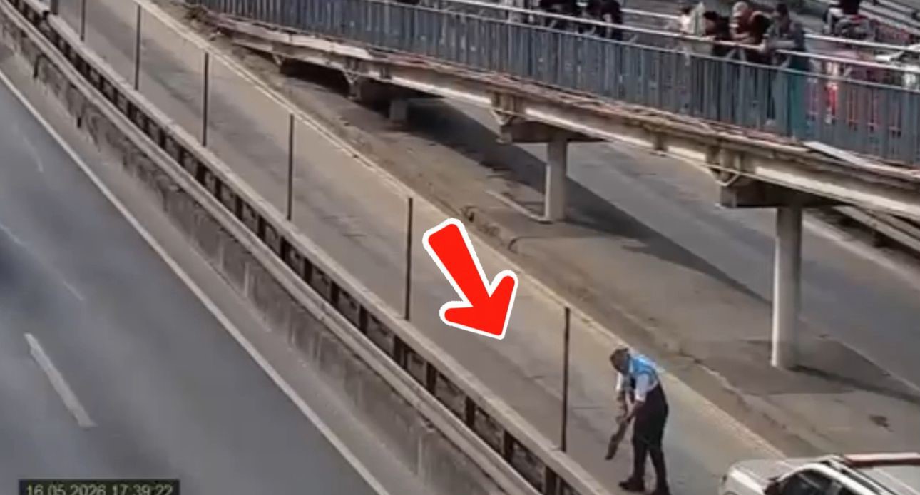 iett ekipleri metrobus hattina giren 2 yavru kediyi kurtardi 2