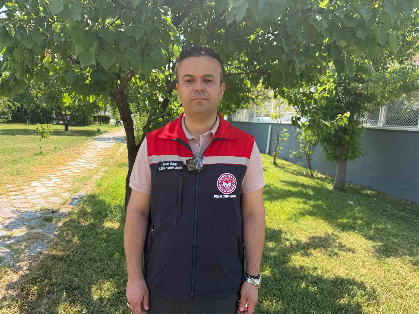 Iğdır kayısısında yüzde 70’i aşan rekolte kaybı 5 igdir kayisisinda yuzde 70i asan rekolte kaybi 1 Py8IeqtZ
