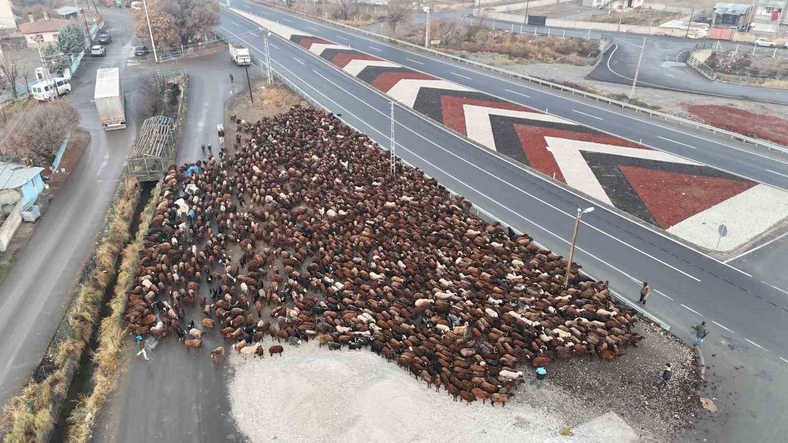 igdirli gocerler zorlu yolculugun ardindan igdira ulasti 0 qnqO5vE1
