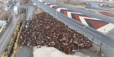 igdirli-gocerler-zorlu-yolculugun-ardindan-igdira-ulasti-MDWXE6Ln.jpg