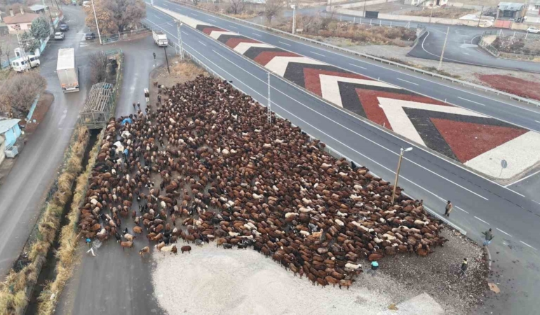 igdirli-gocerler-zorlu-yolculugun-ardindan-igdira-ulasti-MDWXE6Ln.jpg