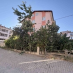 ihlamur-agacindan-dusen-emekli-ogretmen-yaralandi-pIsV8d1n.jpg