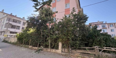 ihlamur-agacindan-dusen-emekli-ogretmen-yaralandi-pIsV8d1n.jpg