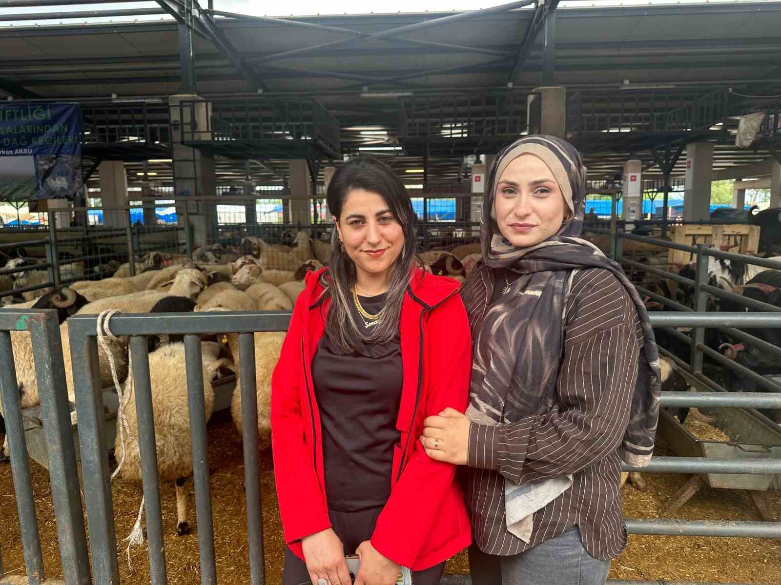 iki genc kuzen celep bursadaki kurban pazarinda rekabeti artirdi 4