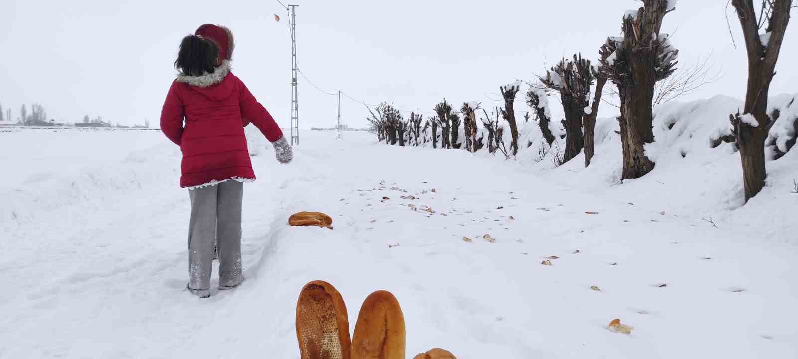 iki kardesten yaban hayvanlarina sefkat eli 3 lkWUDUSB