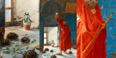 ikinci-kaplumbaga-terbiyecisi