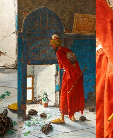 ikinci-kaplumbaga-terbiyecisi