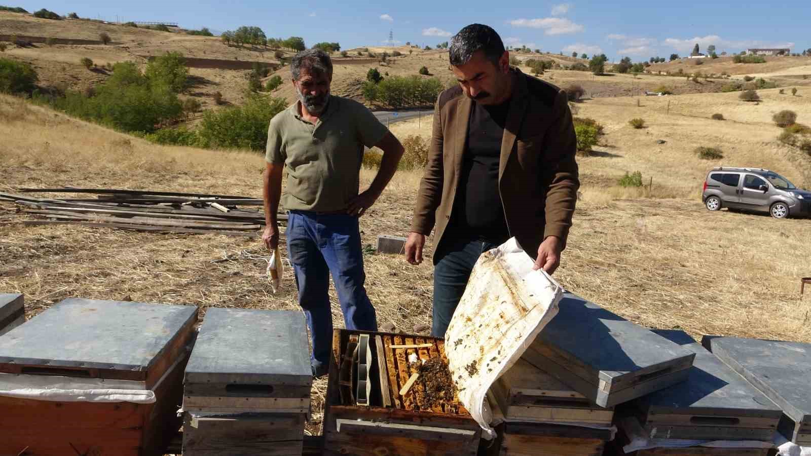 iklim degisikligi arilari etkiledi tuncelide rekolte 900 tona dustu 0 qEBRYZ93