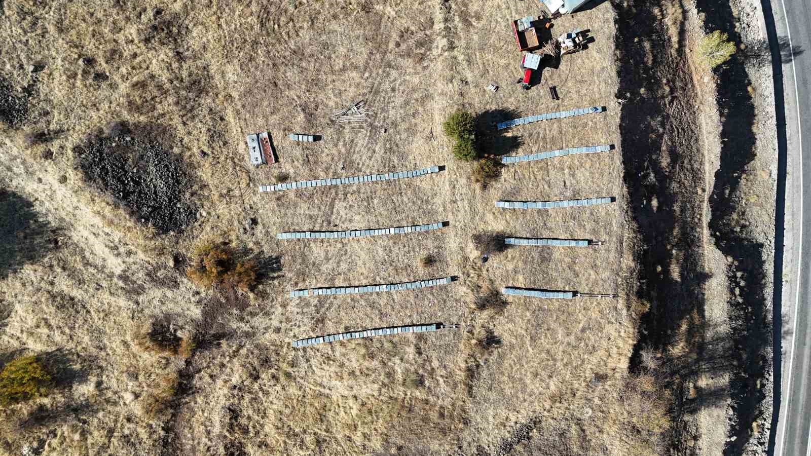 iklim degisikligi arilari etkiledi tuncelide rekolte 900 tona dustu 3 SyBKwBNM