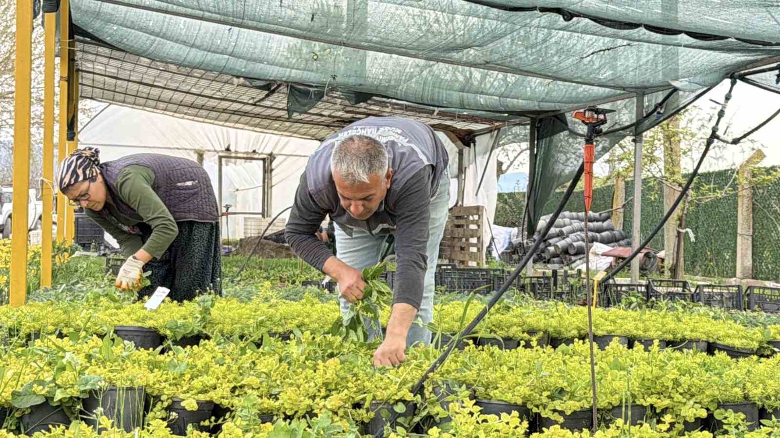 iklim degisikligi ve kuraklik nedeniyle su tasarruflu peyzaj donemi 0 FKy3fjUv