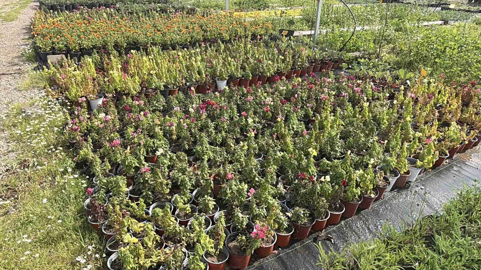 iklim degisikligi ve kuraklik nedeniyle su tasarruflu peyzaj donemi 5 vbMwwSYh