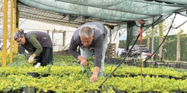 iklim-degisikligi-ve-kuraklik-nedeniyle-su-tasarruflu-peyzaj-donemi-T58m2NwY.jpg