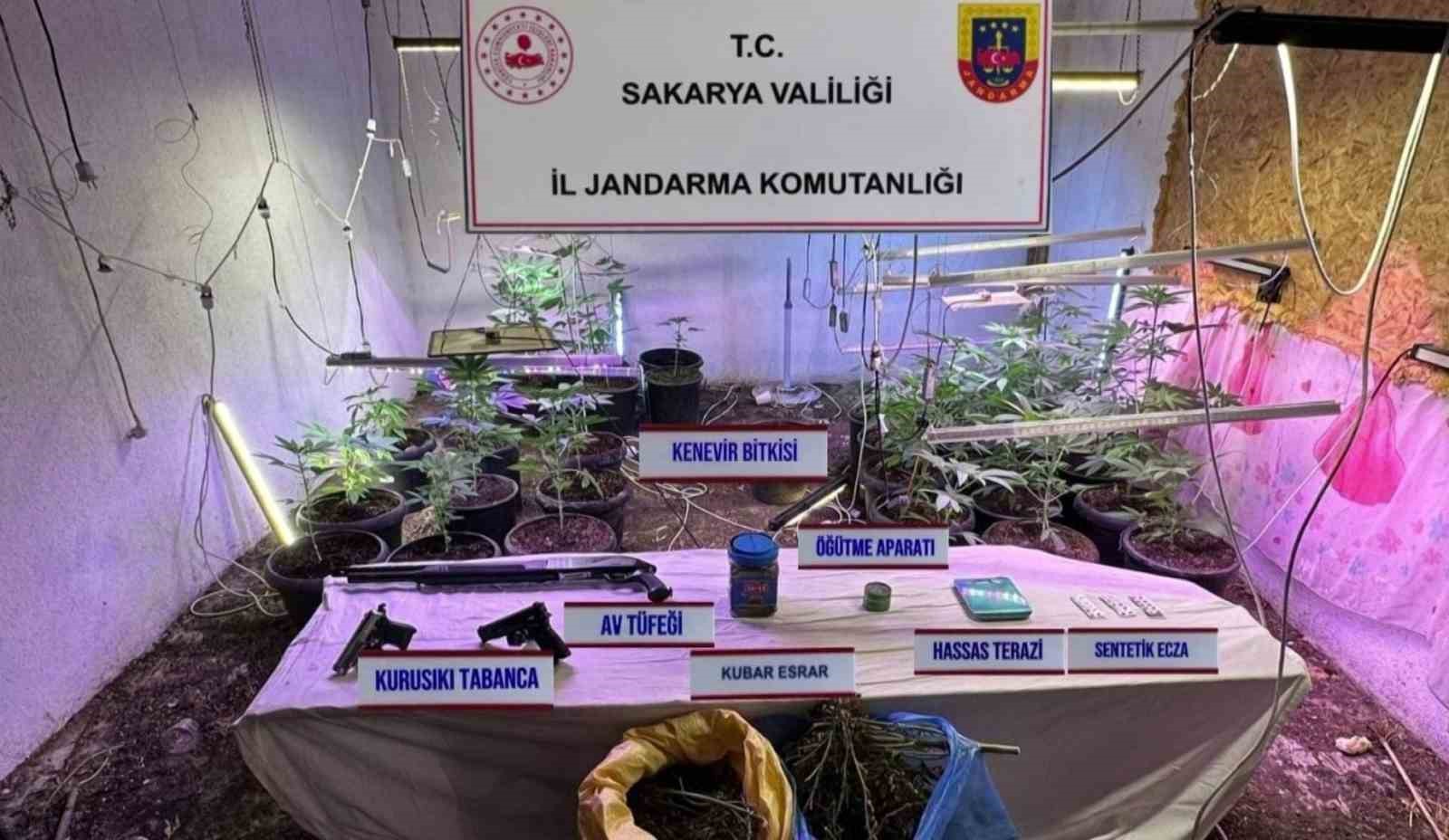iklimlendirme sistemi ile kapali ortamda kenevir yetistiren sahis tutuklandi 0 H2uANB41
