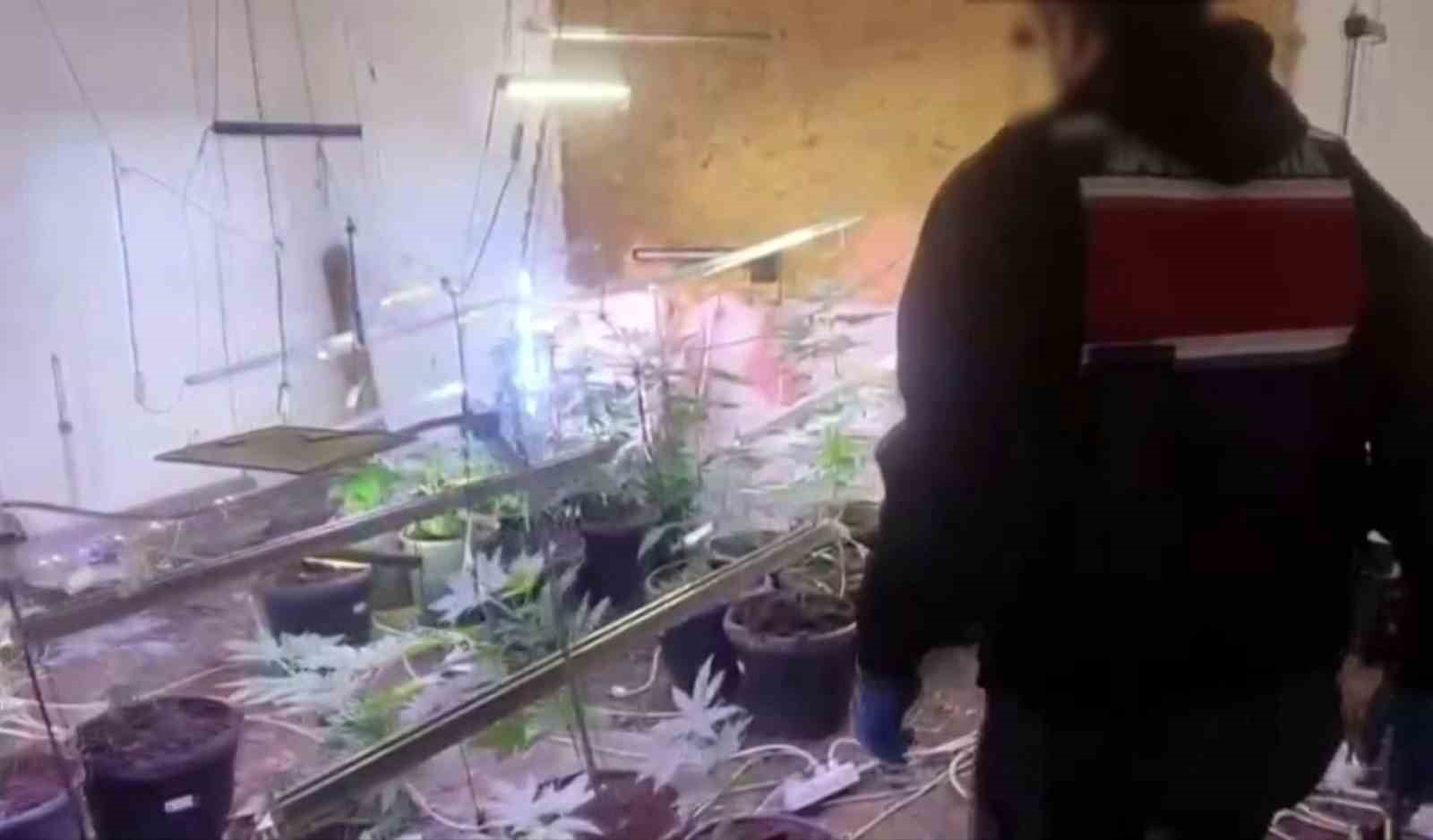 iklimlendirme sistemi ile kapali ortamda kenevir yetistiren sahis tutuklandi 1 DHNPAWJB