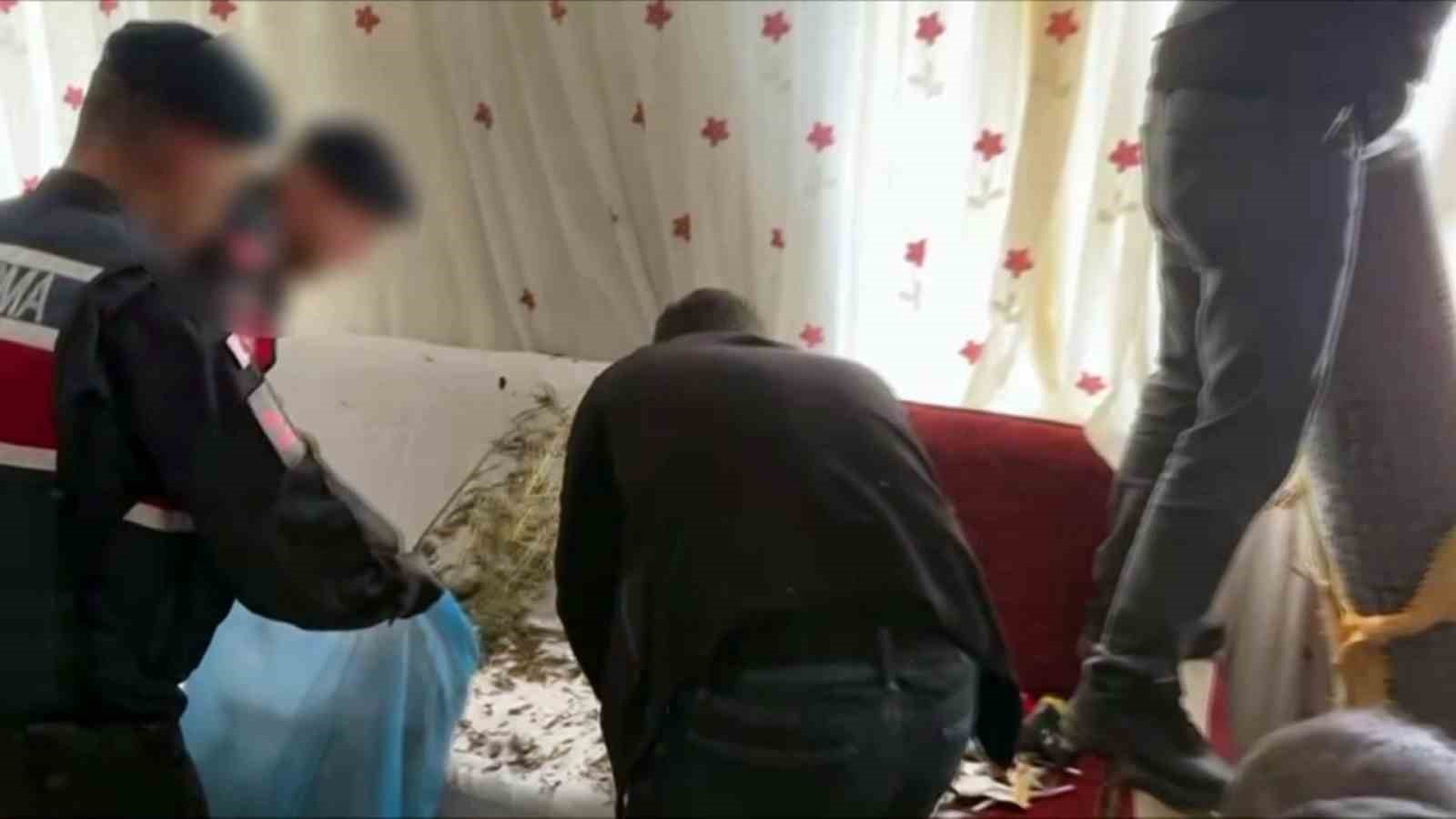 iklimlendirme sistemi ile kapali ortamda kenevir yetistiren sahis tutuklandi 3 QCPQyhFC