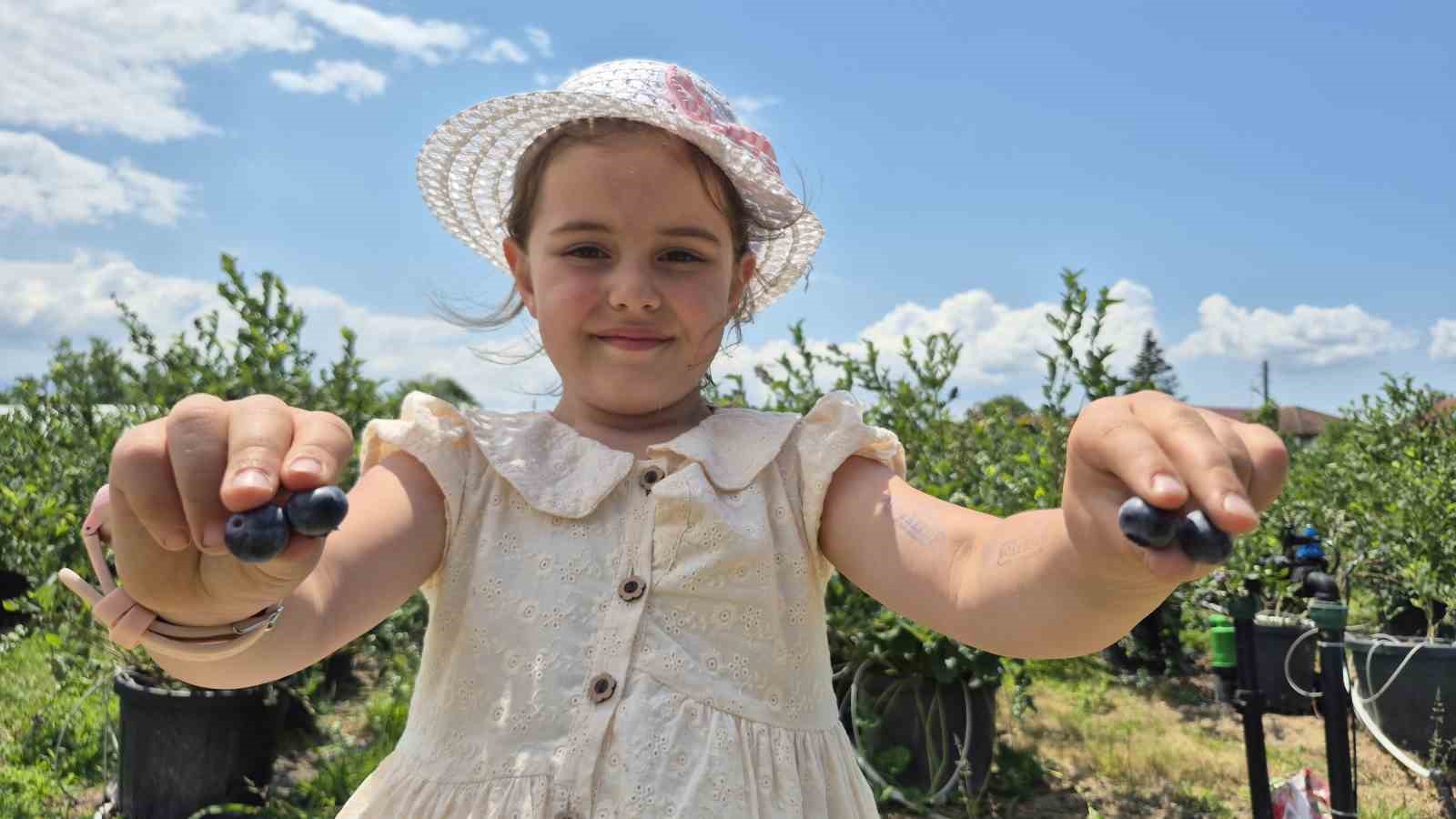 İlahiyat fakültesi öğrencisinden tarımda başarı hikayesi 5 ilahiyat fakultesi ogrencisinden tarimda basari hikayesi 1 m7tWP2Lq