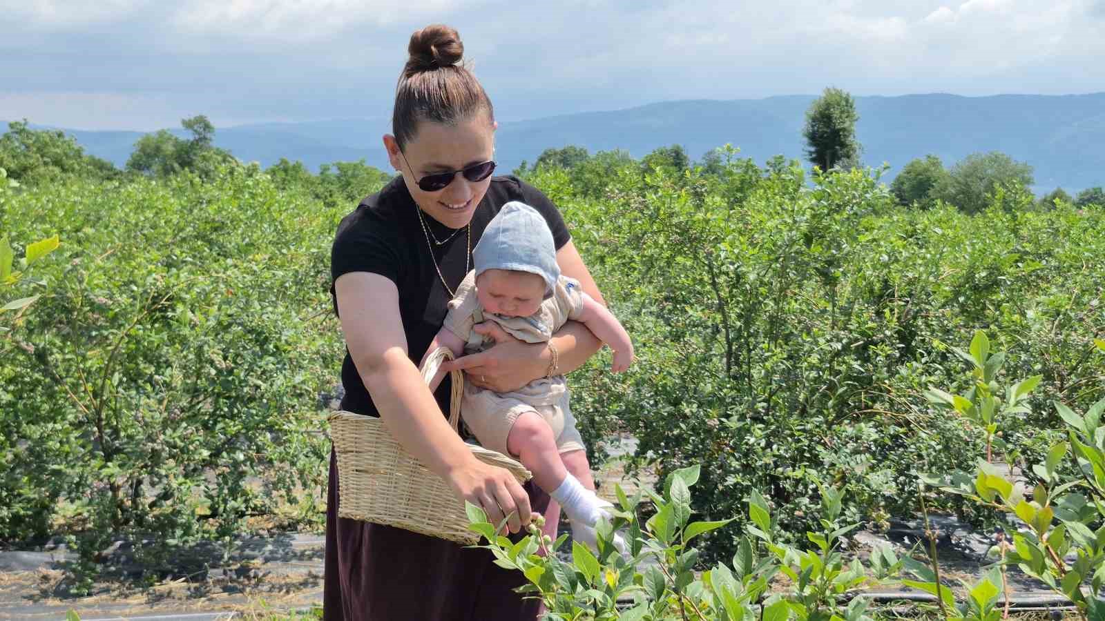 İlahiyat fakültesi öğrencisinden tarımda başarı hikayesi 10 ilahiyat fakultesi ogrencisinden tarimda basari hikayesi 6 yCls5Xqa