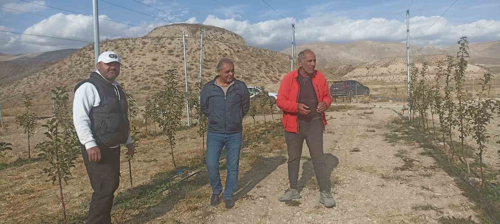 İlçede yetişen elma hayatına yön verdi, harçlıkla başladı, 100 dönümlük araziye 5 bin fidan dikti 5 ilcede yetisen elma hayatina yon verdi harclikla basladi 100 donumluk araziye 5 bin fidan JLgN6lSG