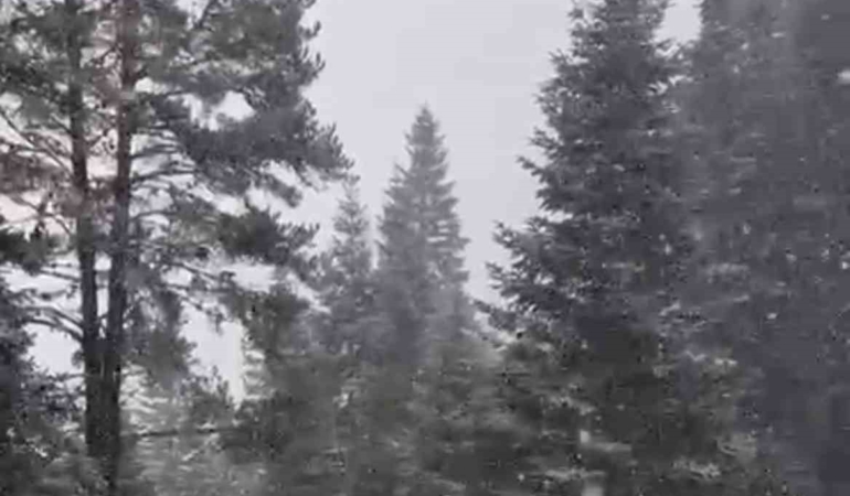 ilgaz-daginda-kar-yagisi-etkili-olmaya-basladi-A1n2qEv5.jpg