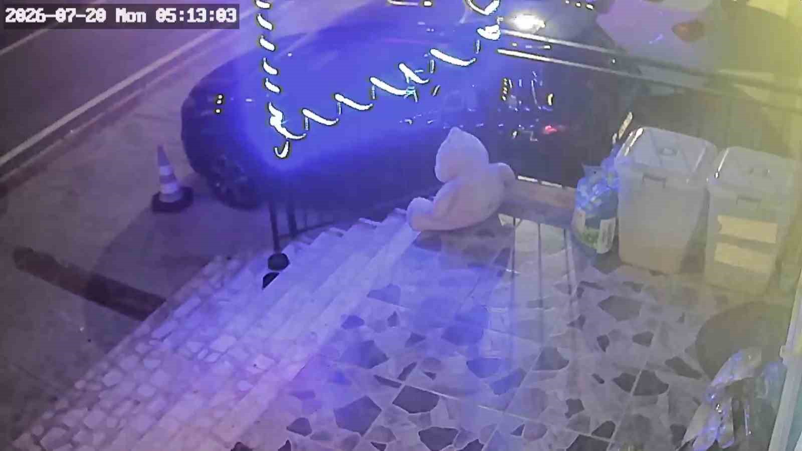 İlginç hırsızlık: Petshop önündeki mama kutusunu çaldı 4 ilginc hirsizlik petshop onundeki mama kutusunu caldi 0 MuOP1Hf7