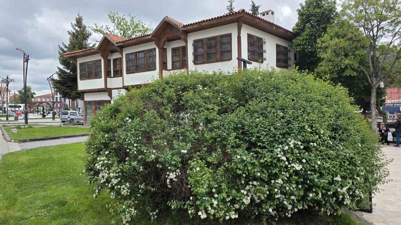 ilkbahar kutahyaya ayri bir guzellik katti 9 DmAWniEZ