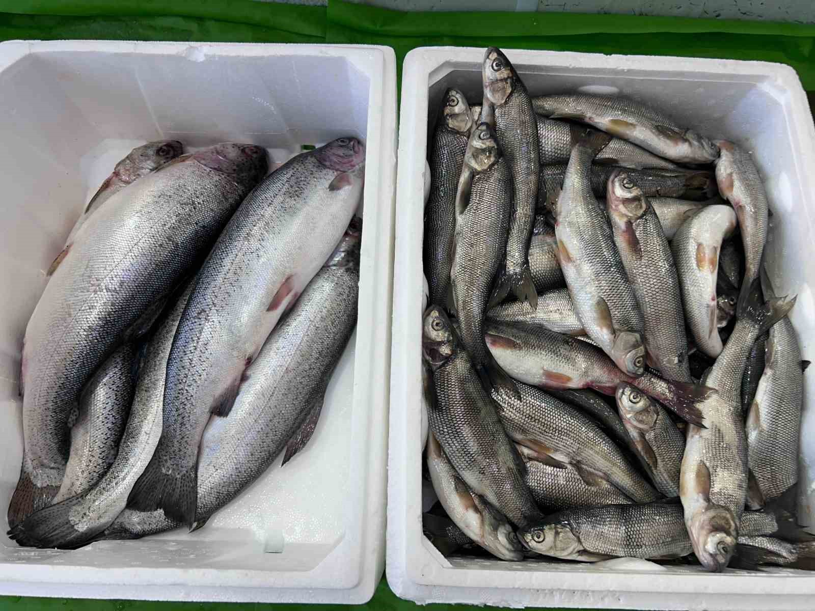 İnci kefali tezgâhlardaki yerini aldı 4 inci kefali tezg hlardaki yerini aldi 0 KyrrQSDj