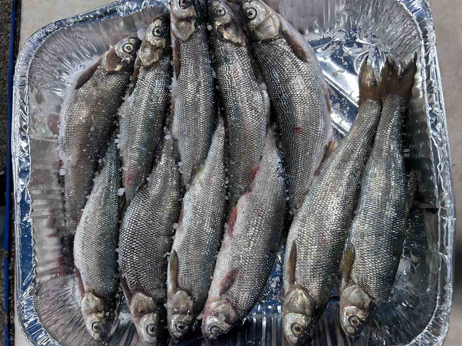 İnci kefali tezgâhlardaki yerini aldı 5 inci kefali tezg hlardaki yerini aldi 1 YOtkqp5z